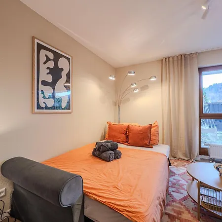 Stylische Gartenwohnung Mitten In Apartman Waldkirch